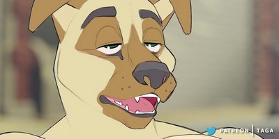 Лис Ник Уайлд провел интересный эксперимент с большой собакой.