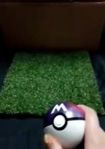 Gardevoir Booty (@kanihamiso on Twitter) offers animated content featuring characters from the Pokémon series engaging in sexual activities.