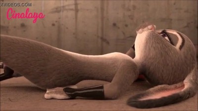 В окончательной подборке видео представлен похотливый кролик из Зоотопии.