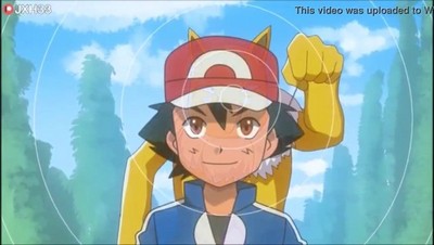 Видео представляет собой анимационные ролики, в которых персонажи мультсериала Покемон - Черизард, Эш, Мэй, Пикачу, Гардевуар и другие тренеры Покемонов - занимаются сексом.